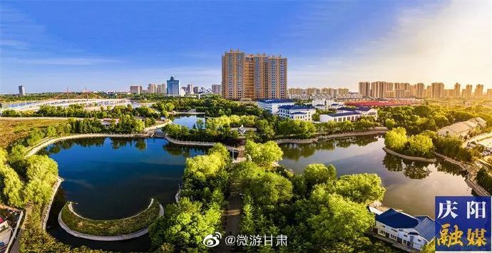 庆阳_一肖一码一必中一肖,撕破脸皮翻页的全面释义、解释与落实